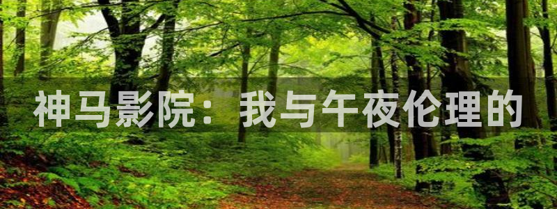 星空无痕mv免费观看在线高清