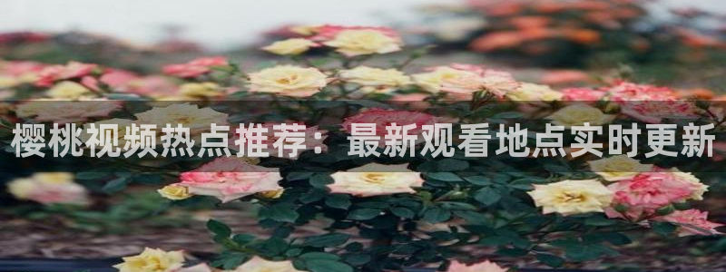 星空影视下载官网