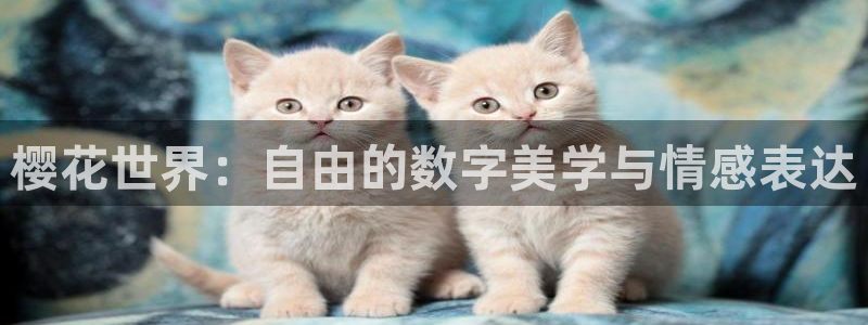 星空的图片