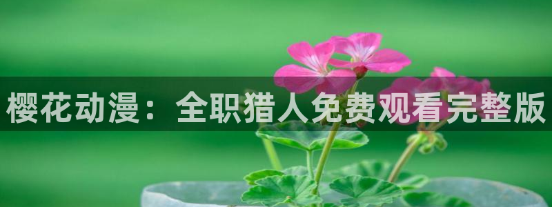 午夜影院mv