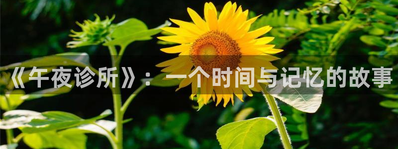午夜影院电视免费观看