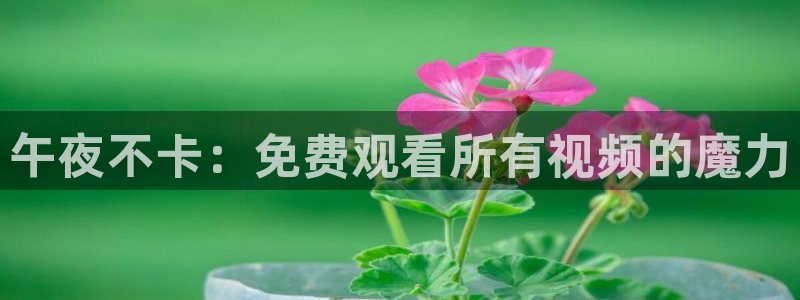 星空影视.
