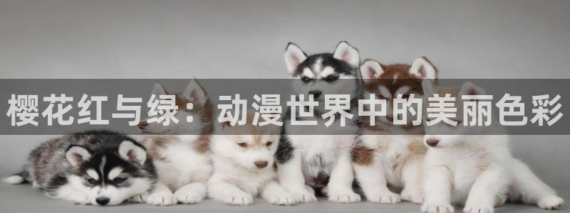 午夜影院电视剧免费观看