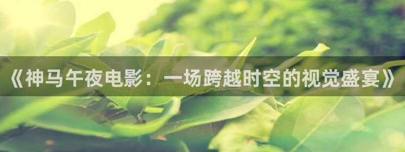 星空策驰影院在线观看