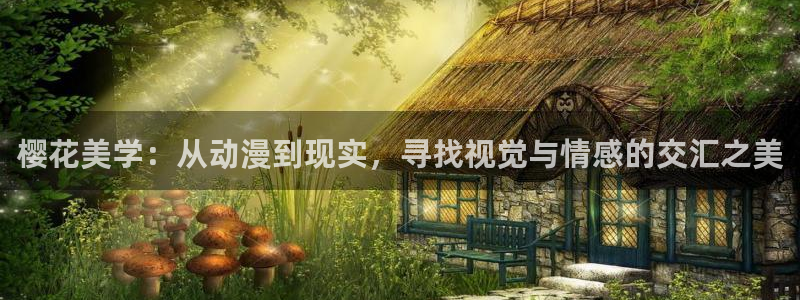 星空无限传媒影视免费观看