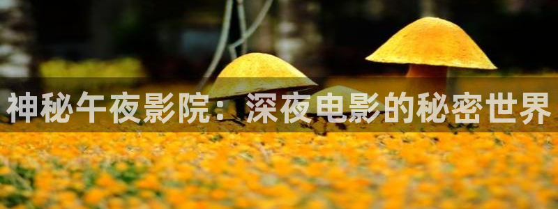 星空影城电影