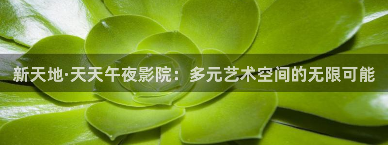 午夜影院在线观看