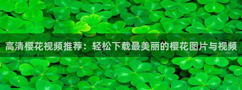 午夜影院免费观看电影下载大全