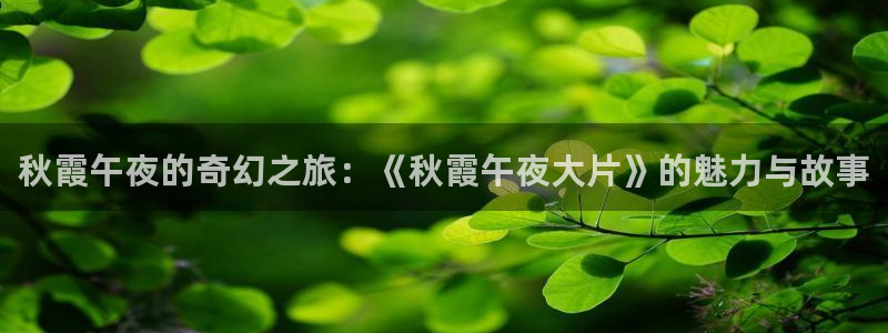 星空视频在线观看完整