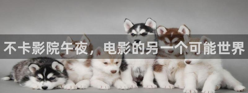 林子大了免费版完整观看午夜影院