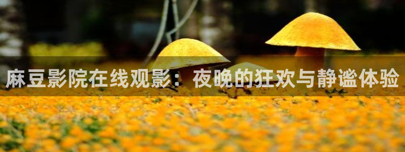 午夜影院播放电影大全免费