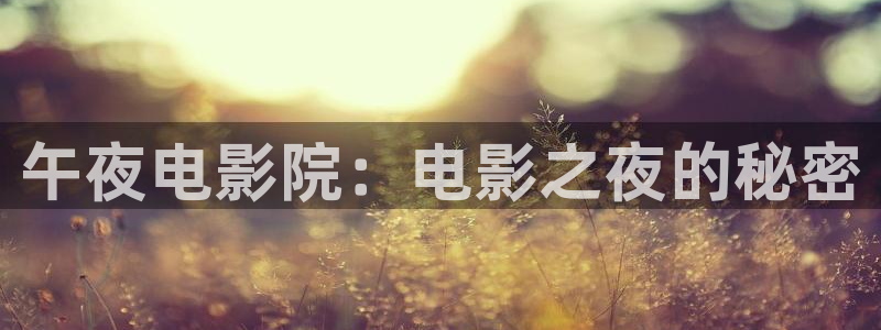 观看星空