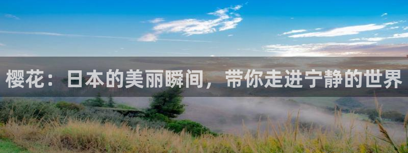 午夜影院大全免费观看电视剧电影