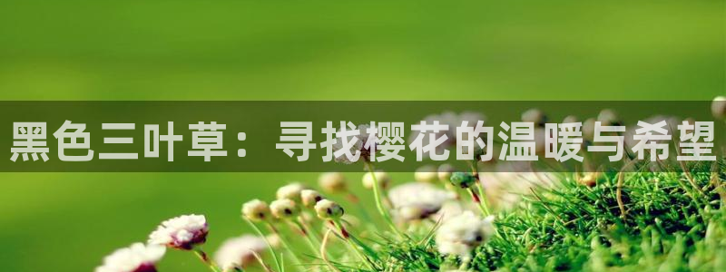 星空影视最新版下载