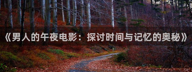 这就是灌篮星空影视