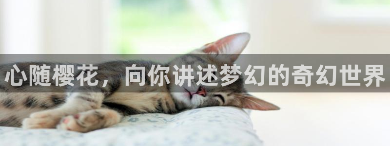 星空视频影视下载官网
