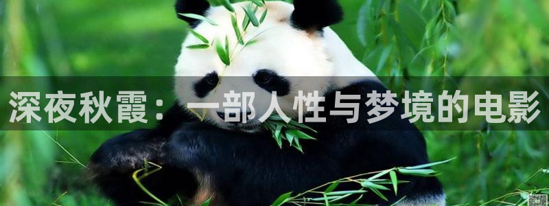 午夜影院最新电视推荐